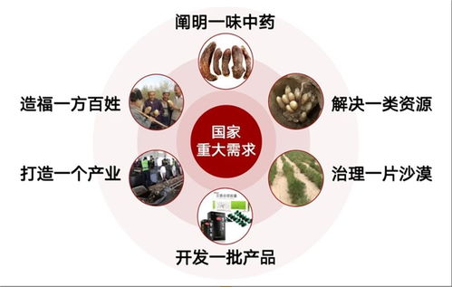 劲牌十年两获国家科技奖 传统酿造向“新”而行的产业样本