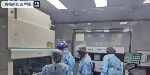 辽宁推广10合1混采检测技术，闭环管理筑牢境外输入防线